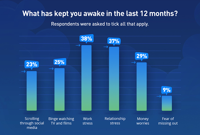 Image showing survey results from the questions What has kept you awake in the last 12 months?