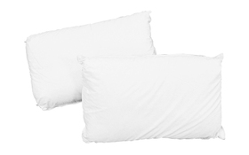 Anti Allergy Medicare Pillow Pair