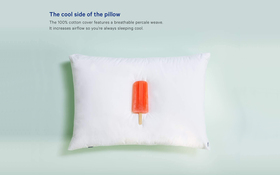 Casper Cotton Cover Pillow