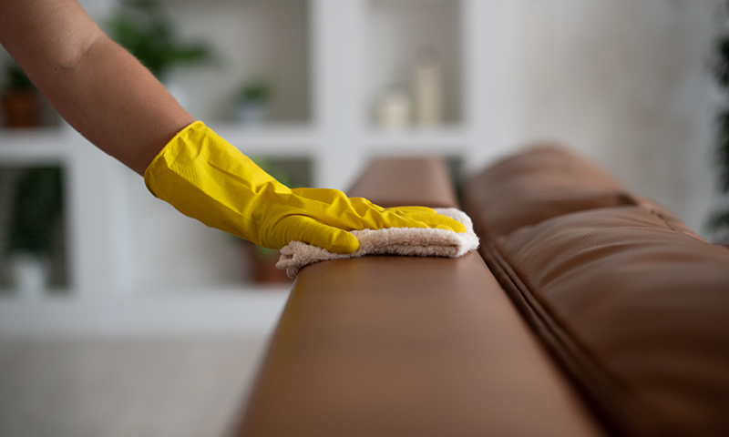 Cleaning a leather sofa