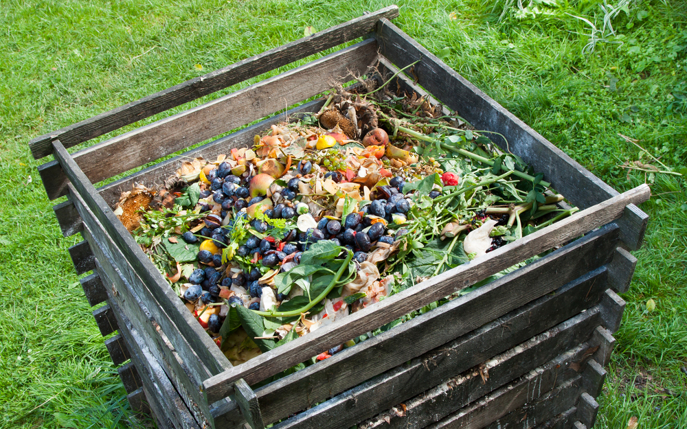 Compost bin in a garden