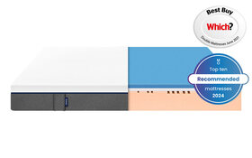 Emma Cross Section Side View Which Top 10 2024