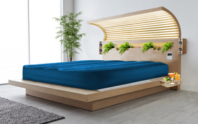 Holidoze Waterbed2