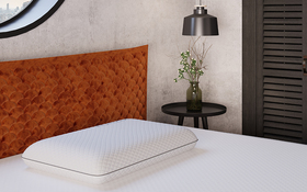 Horizon Memory Foam Pillow Roomset