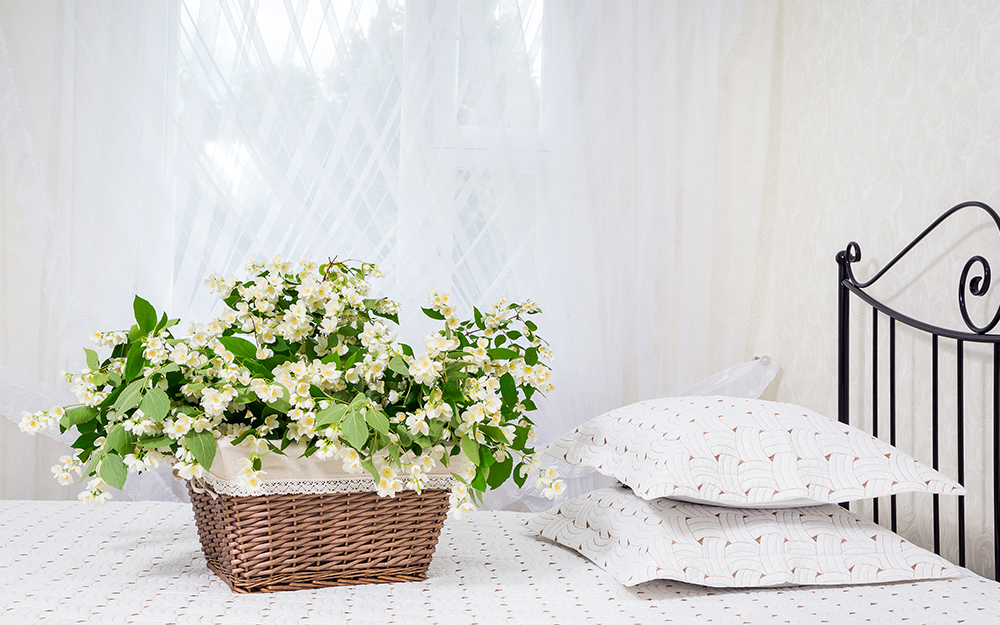 Jasmine flowers in a basket on a bed