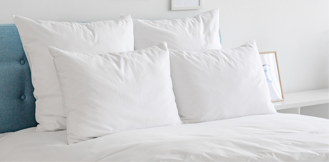 Organic cotton bedding