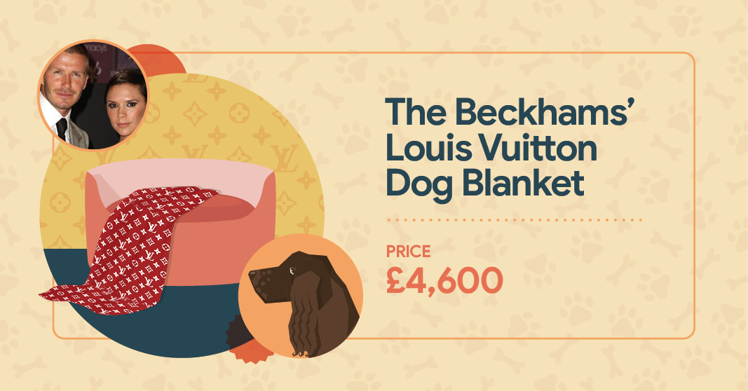 The Beckham's Louis Vuitton Dog Blanket