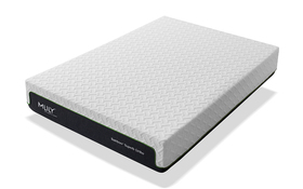 Mlily Bamboo Plus Superb Ortho Mattress Angle