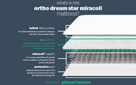 Ortho Dream Star Miracoil Mattress Bisection New