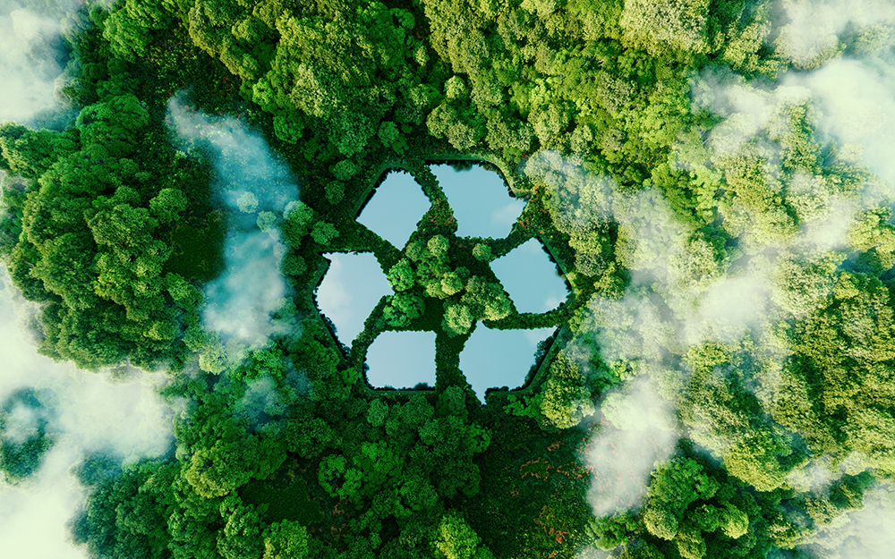 A recycling symbol in the middle of a forest.