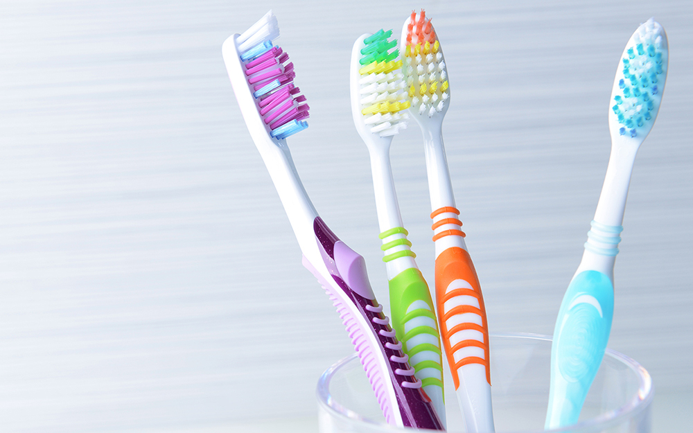 Toothbrushes in a cup