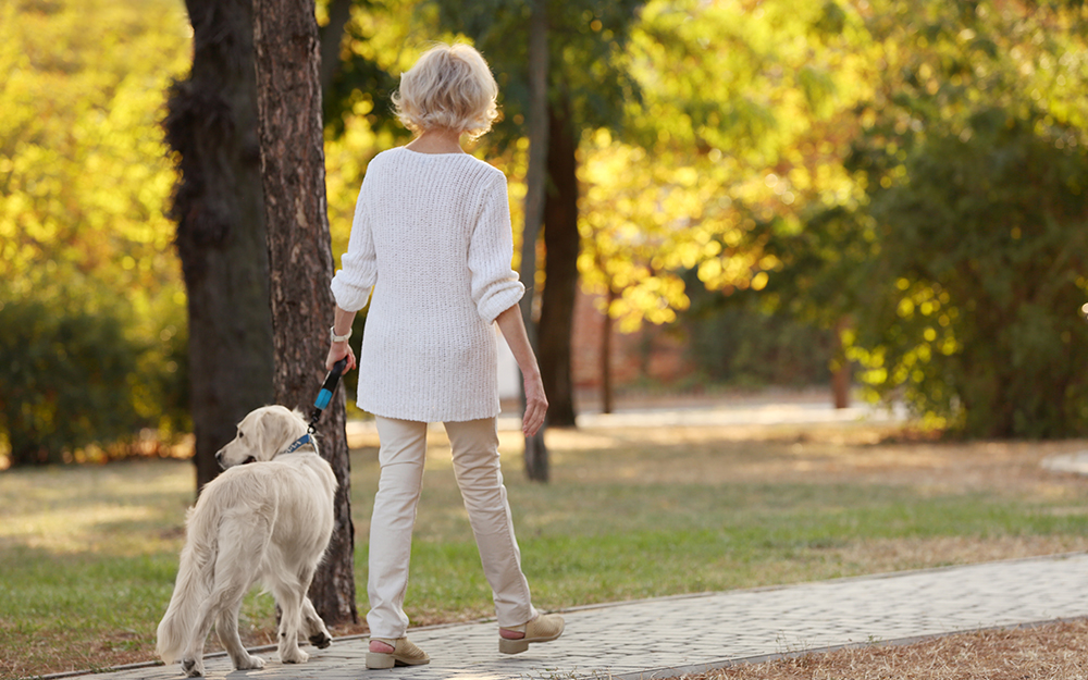 Senior woman walking her dog in a park